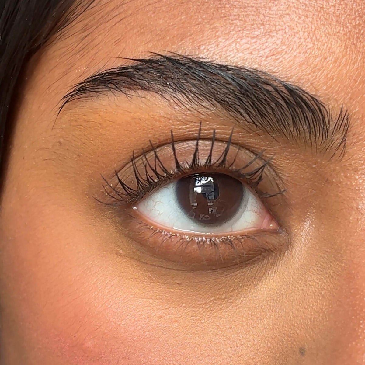 Amplifying Lash Lover